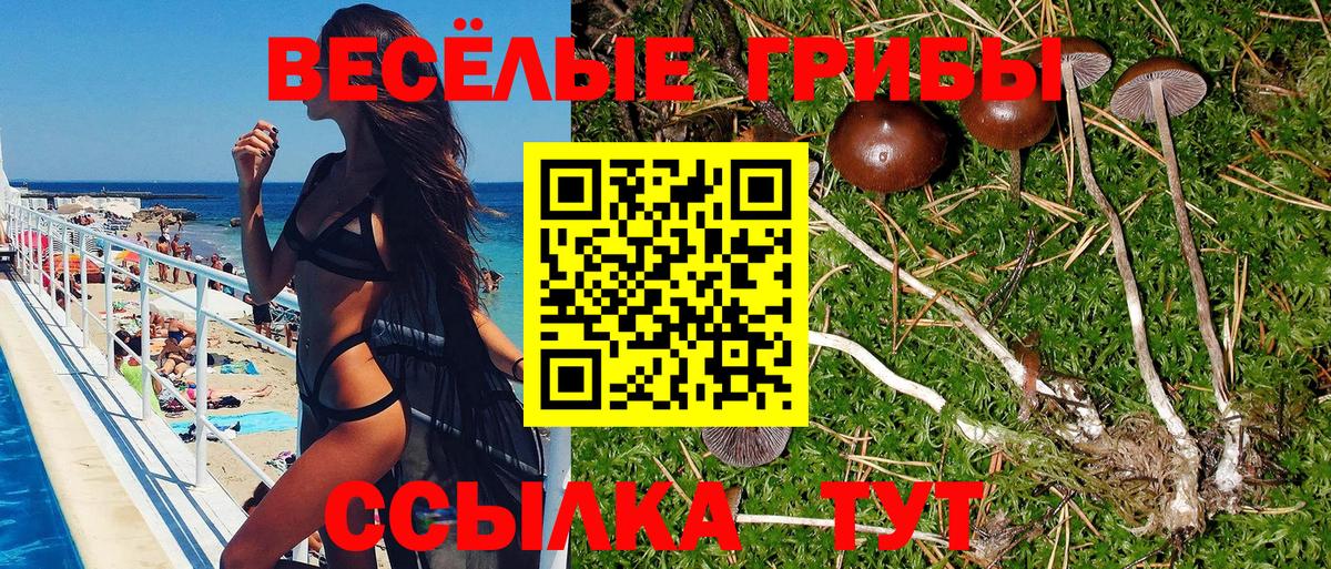 Кыштым  Галлюциногенные грибы прущие грибы  Псилоцибиновые грибы GOLDEN TEACHER  цены наркотик  Вход с VPN 
